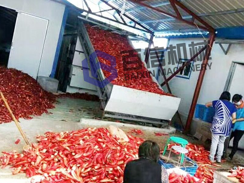 小型辣椒烘干機 小型辣椒烘干機